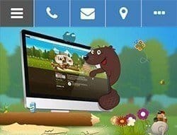 mobielvriendelijke website