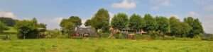 Nieuws 21 Pinkers vakantie woningen