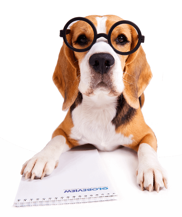 faq hond globeview